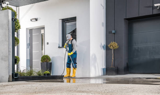 Best Graffiti Removal Services in Kingman, AZ